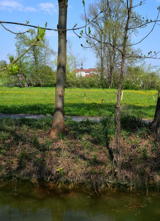 Ferienhaus Am Kamskefliess Lübbenau Buitenkant foto
